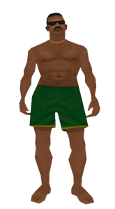 Skin 45 of v0w.regicide